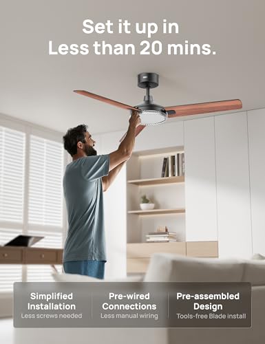 Image of DREO Smart Ceiling Fans with Lights, 52 Inch Black Ceiling Fan, 12 Speeds & 3 Fan Modes, Stepless Color Tones, Dimmable LED Light, 1-12H Timer, Quiet DC Motor, Remote /APP /Alexa /Wall Switch Control