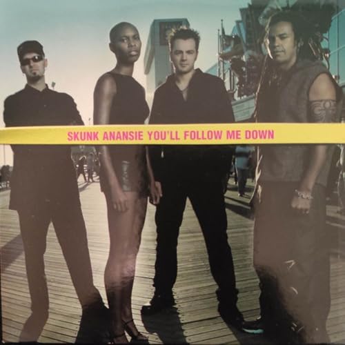 You'll Follow Me Down: Il tunnel senza perdono degli Skunk Anansie