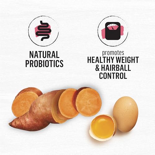 Beyond Grain Free Natural Dry Cat Food, Indoor Cat Wild-Caught Salmon & Egg - 2.26 kg Bag - Image 6