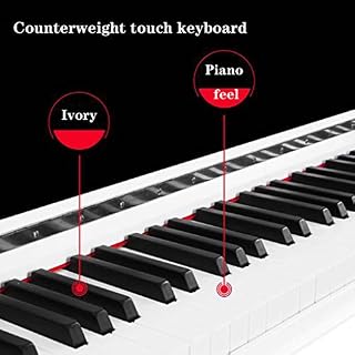 Piano électronique Professionnel 88 Touches Connexion Bluetooth Portable Application Intelligente enseignement 500 Types… - Les Beatles, Paul McCartney, John Lennon, RIngo Starr, George Harrison Piano électronique Professionnel 88 Touches Connexion Bluetooth Portable Application Intelligente enseignement 500 Types… – Image 4