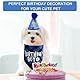 3 Stücke Hund Geburtstag Bandana Set, Hunde Geburtstags Niedliches Halstuch Mütze mit 9 Bling Nummern, Hunde-Geburtstagsparty-Zubehör, Haustier Geburtstags Deko für Katzen Kleine Mittelgroße Hund