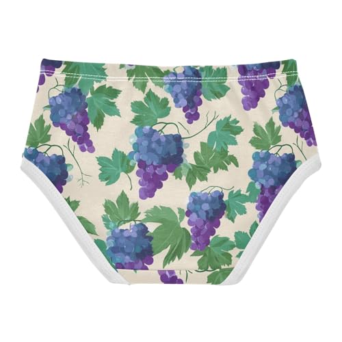 Wusikd Grapes Leaves Girls' Underwear Cotton Girls Briefs Soft Toddler Underwear 2T2
