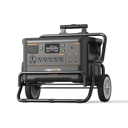 Pecron F3000LFP