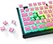 Produktbild SteelSeries PRISMCAPS  Double Shot Pudding-Tastenkappen  langlebiges PBT Thermoplast  kompatibel mit Einer Vielzahl von mechanischen Tastaturen  Rosa