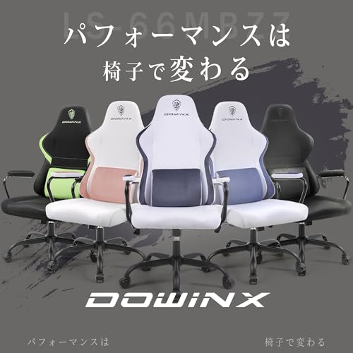 Dowinx ゲーミングチェア LS-66MBZZ の商品画像 3