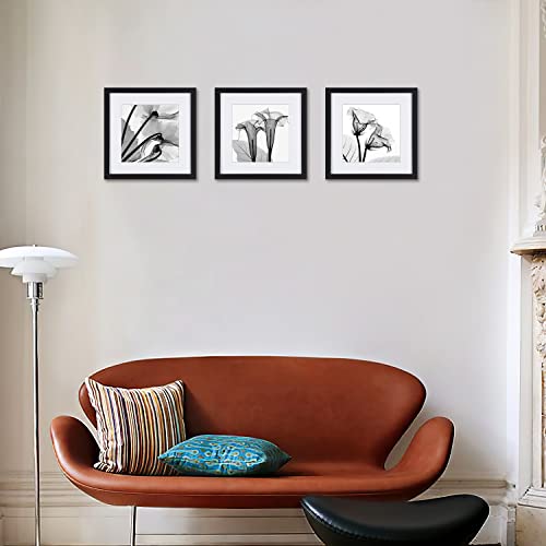 Black And White Flower Wall Art Abstract Decor Transparent Floral Canvas Print For Home Decorations A Set Of Tulip Printed Posters Painting Pictures 3 Piece Framed Photos Black Frames #TOP2
