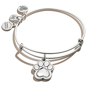 Alex and Ani Prints of Love Expandable Rafaelian Silver Bangle Bracelet