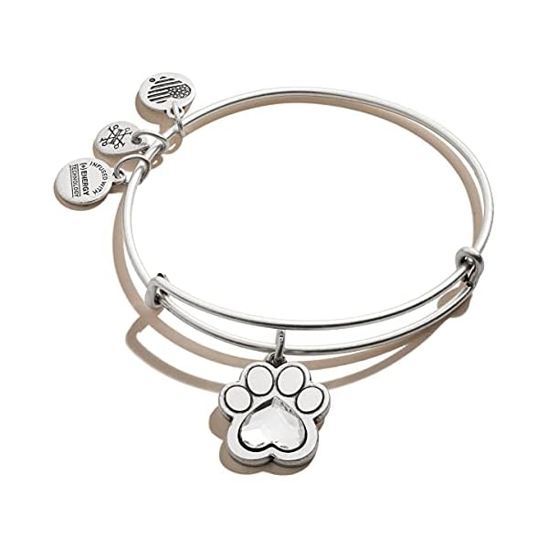 Alex and Ani Prints of Love Expandable Rafaelian Silver Bangle Bracelet