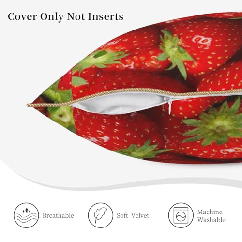 Housse coussin velours imprimé fraises douceur et poésie