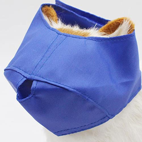 Evita mordiscos de mascotas con el pack de bozales para gatos 8