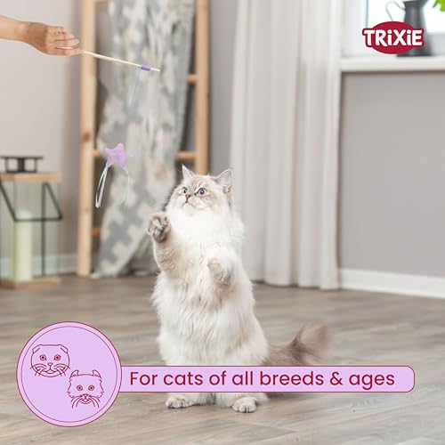 Image of TRIXIE Cat Fishing Rod Toy (Junior Playing Rod with Star)