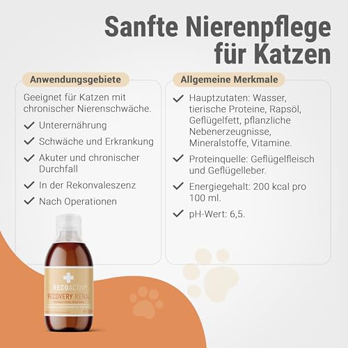 RECOACTIV Recovery Renal für Katzen, 1 x 280ml, hochkalorisches Diät-Alleinfuttermittel bei Nierenfunktionsstörungen und erhöhtem Energiebedarf in der Rekonvaleszenz, zur Gewichtszunahme