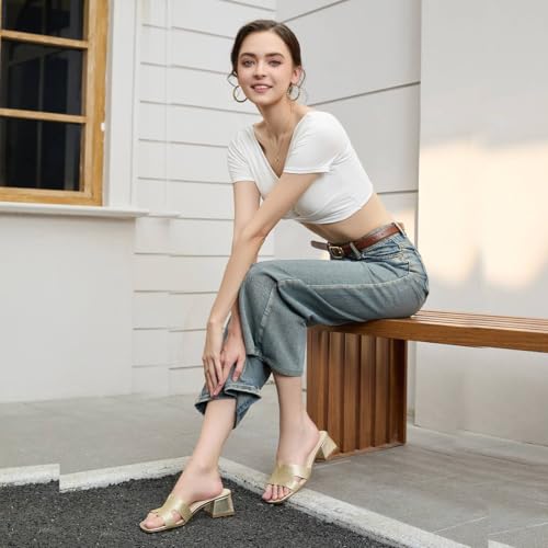 Image of Women's Chunky Open Toe Low Block Heels Kitten Dressy Heels for Women Low Heel Sandals for Women Summer Comfy Heels