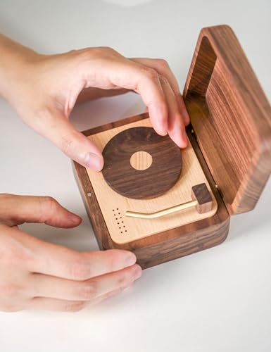 WONQEXZ Vintage Style Music Box,Vintage high-end Vinyl Record Player Music