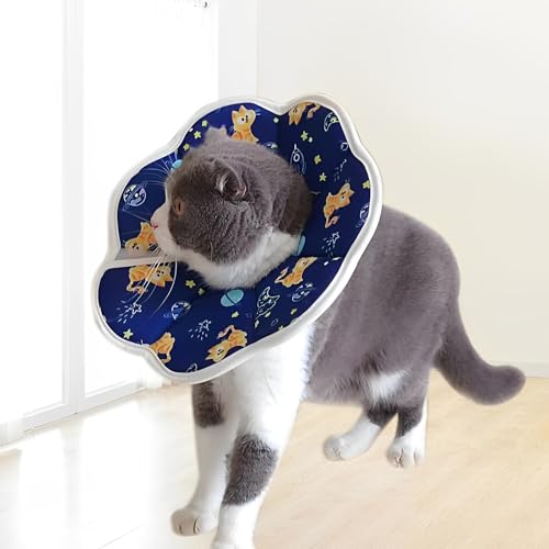 Xiuyer Halskrause Katze, Hunde Halskrause für Kleine Hunde und Erwachsene Katzen, Leckschutz Hund nach Op Hund