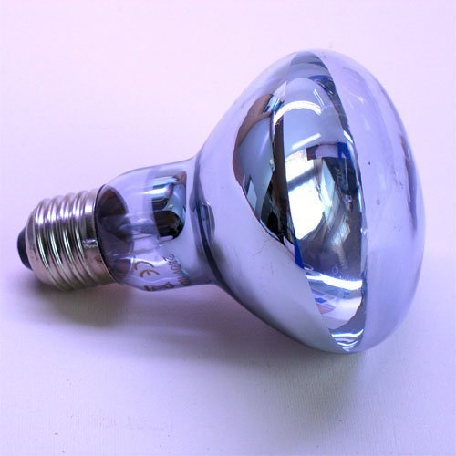 Terrario per tartarughe e rettili, luce al