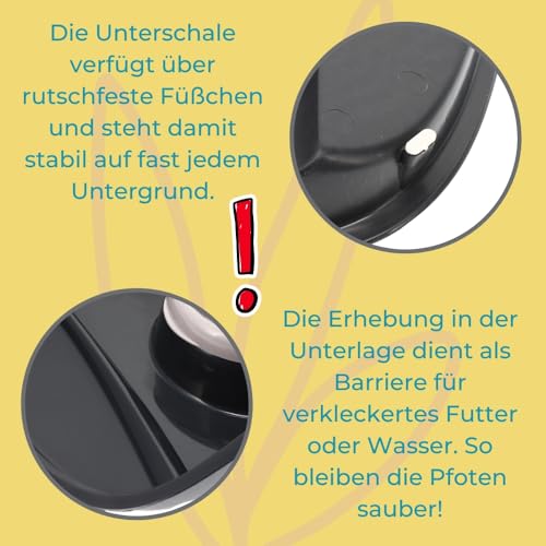 2er Set Futterstation Hund 2 Näpfe Futterbar mit erhöhter Rückwand Hundenapf erhöht Hundebar Futternapf Unterlage Matte Hunde Napfset Katzen