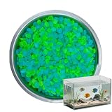 500 Stück Leuchtsteine, Garten Deko, Muggelsteine, Leuchtsteine Garten, Aquarium Dekokiesel Wiederholbar Stärke Durch Licht Solarbetrieben ​​für Gartenwege Pflanzen Hof Aquarium