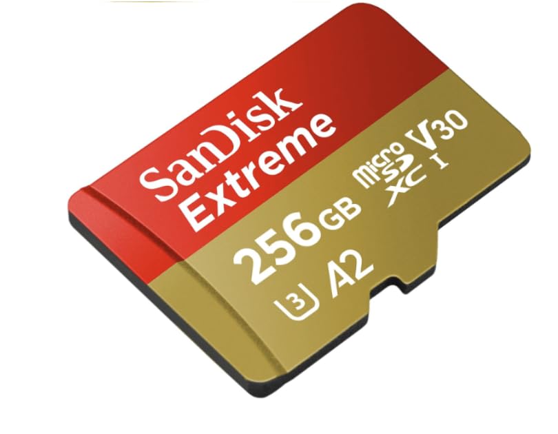 Nintendo Switch LCD【SDカード256G付き】 SanDisk microSD Express Card 256GB for Nintendo Switch 2 BEE