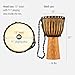 Meinl Percussion Djembe Drum African Hand Drum Instrument for Adults — NOT MADE IN CHINA — Mahogany Wood / Natural Head 13