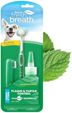 Kit de cuidados bucais Fresh Breath da TropiClean para animais de...