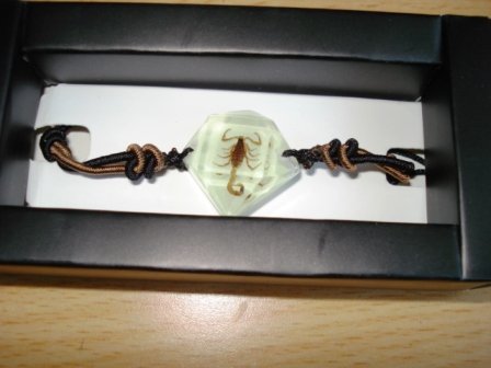 Real Insect Bracelet Scorpion