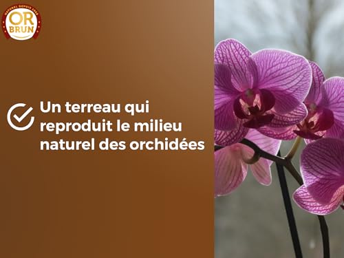 Or Brun Terreau Orchidées - Favorise La Croissance - 6L – vue 4