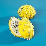 200 Piezas Especial Lindo Perfecto Semillas De Pitaya Frutas No Transgénicas Plantadas Al Aire Libre Dragon Fruit Jardín Decorativo Amarillo Brillante