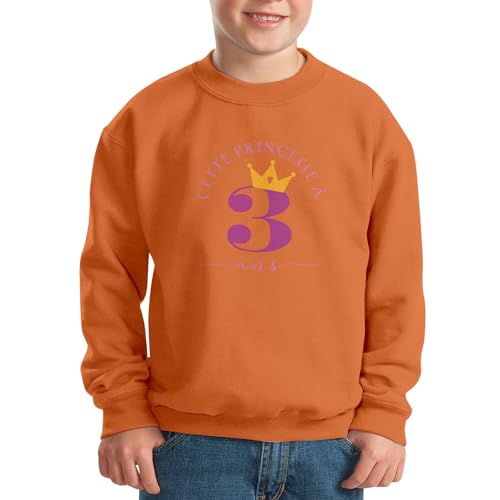 Sweat enfant 3 ans princesse pour des souvenirs magiques
