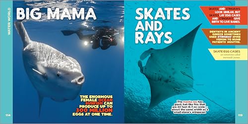 Rockridge Press The Fascinating Animal Book for Kids: 500 Wild Facts!