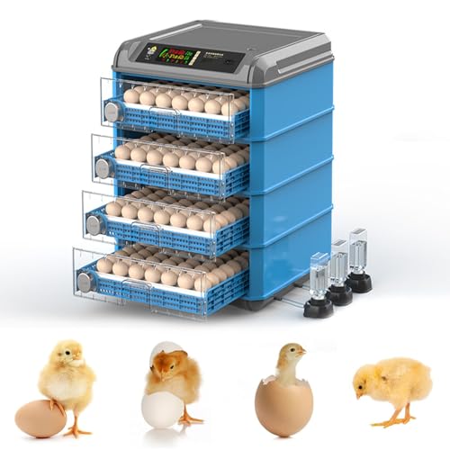 Incubatrice digitale per pollame, tornitura automatica con controllo dell'umidità, ideale per cova uova di pollo, quaglia, anatra e uccelli