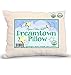 Toddler Pillow by Dreamtown Kids, Soft Organic Cotton Shell, 3-SIZE OPTIONS, 13x19, Natural Color, Made In USA.