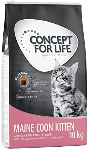 Concept for Life Maine Coon Kitten Dry Cat Food, 10 kg, for Kittens Aged 4-15 Months, Made with Rice with Essential Taurine