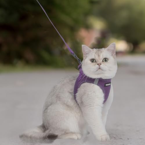 Image of Voyager Step-in Pet Harness - All Weather Mesh, Adjustable Step in Harness for Cats and Dogs by Best Pet Supplies - 307S Purple, M