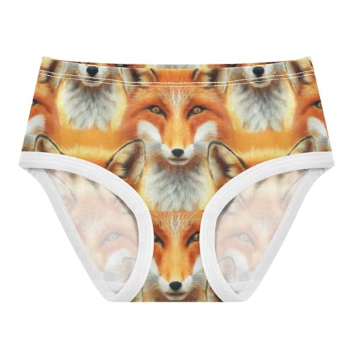 Fancy Girls Underwear Toddlers 2t Cotton Panties for Girl Cute Fox Orange Briefs Undies Kids