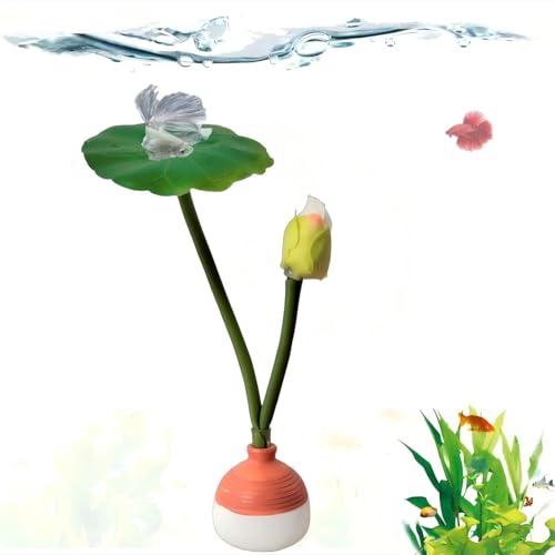 Misaakoeq Lecho De Descanso para Betta - Decoración De Hojas para Acuario - Pecera para Betta con Hábitat Natural - para el Hábitat Natural el Juego la Cría Descanso la Pecera y Las Decoraciones