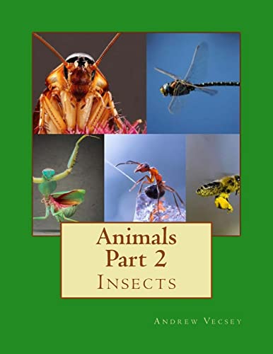 Animals Part 2: Insects