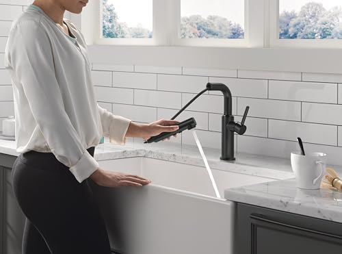 Delta-Faucet-Daneri-Pull-Out-Kitchen-Faucet-Black-Kitchen-Faucets-with-Pull-Out-Sprayer-Kitchen-Sink-Faucet-Faucet-for-Kitchen-Sink-with-Magnetic-Docking-Matte-Black-16879-BL-DST Delta Faucet Daneri Pull Out Kitchen Faucet Black Kitchen Faucets with Pull Out Sprayer Kitchen Sink Faucet Faucet for Kitchen Sink with Magnetic Docking Matte Black 16879 BL DST
