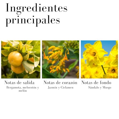 margaret astor colonias margaret astor colonias