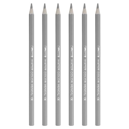 PATIKIL Aquarellstift, 6 Stück wasserlösliche Stifte zum Mischen, Ausmalen, Skizzieren, Malen, Silber