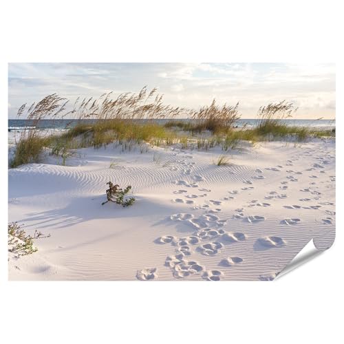 islandburner XXL Bild Poster Sandstrand mit Gräsern und Fußspuren am Meer Premium Bilder 90x60cm islandburner XXL Bild Poster Sandstrand mit Gräsern und Fußspuren am Meer Premium Bilder 90x60cm