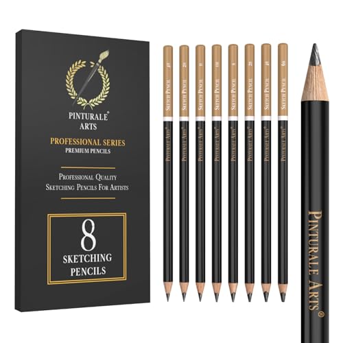 Pinturale Arts Set de 8 Crayon Dessin Professionnel | Crayon Graphite Idéaux pour le Dessin Artistique et les Esquisses | Diversités de Dureté: De 4H à 6B