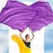 Jetec 2 Pcs 51 x 45 Inches Praise Dance Worship Flags with Rectangle Scalable Rod Rectangular Silk Metallic Church Praise Church Flags for Worship Dance Team Outdoor Practice Performance(Purple)