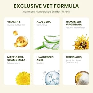 Eye Wipes for Dogs & Cats, Hypoallergenic Dog Eye Wipes Cleaner, Natural Cleaning Pet Wipes for Face Gently Remove Tear Stain, Eye Debris, Discharge, Mucus, Non-Irritating, Unscent, 100 PCS Eye Wipes for Dogs Cats Hypoallergenic Dog Eye Wipes Cleaner Natural Cleaning Pet Wipes for Face Gently Remove Tear Stain Eye Debris Discharge Mucus Non Irritating Unscent 100 PCS