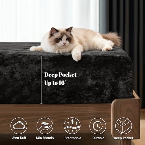 PHF Truly Velvet Fitted Sheet King Size, 1 Pack Luxury Super Soft Cozy Comfy Flannel Bed Sheets with 15'' Deep Pocket, Suitable for Fall Winter and Spring, No Pillowcases, Blue Greyish - Thumbnail 5