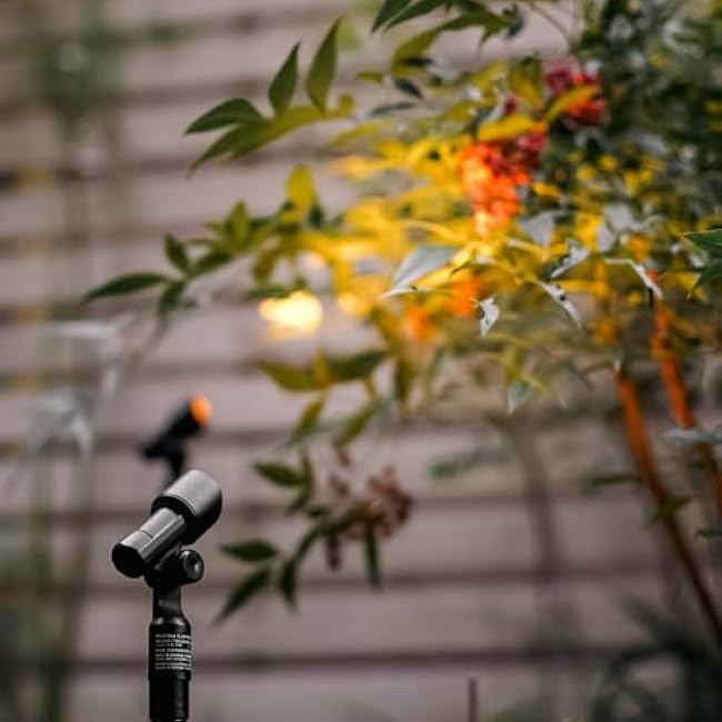 Malibu LED Telescoping Spotlight Wall Light 8406-2606-01