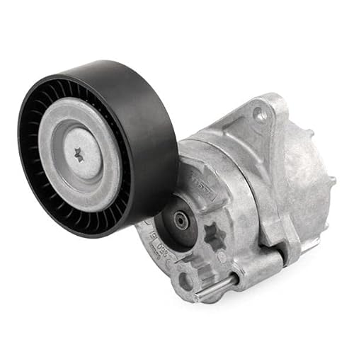 Tenditore INA - 534048110