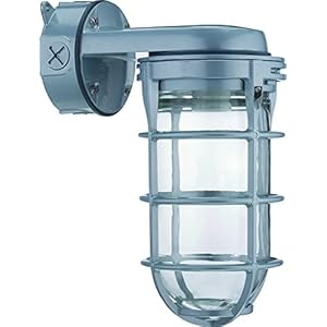 Lithonia Lighting Jelly Jar Light Fixture, Incandescent Utility Vapor Tight Wall Lamp, Industrial Style Wall Light for Indoor and Outdoor Use, 150W, 120V, Includes Junction Box, Grey (VW150I M12)