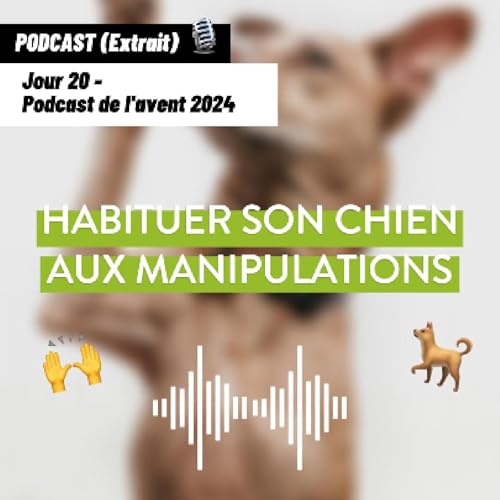 JOUR 20 - Habituer son chien aux manipulations [Podcast de l'avent 🎄]