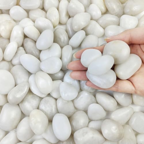FANTIAN 2 lbs Small White Pebbles for Plants, 0.8-1.2 inch